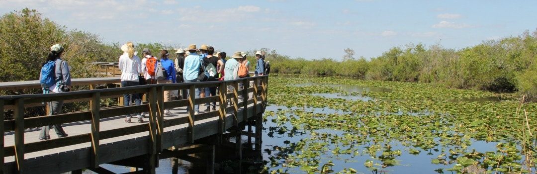 Rachel’s Network Champions Resilience in the Everglades