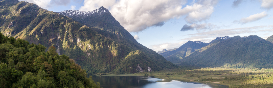 Rachel’s Network Provides Grant to Tompkins Conservation for Rewilding in Southern Chile