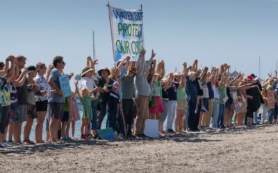 Celebrating Successful Activism in Santa Barbara