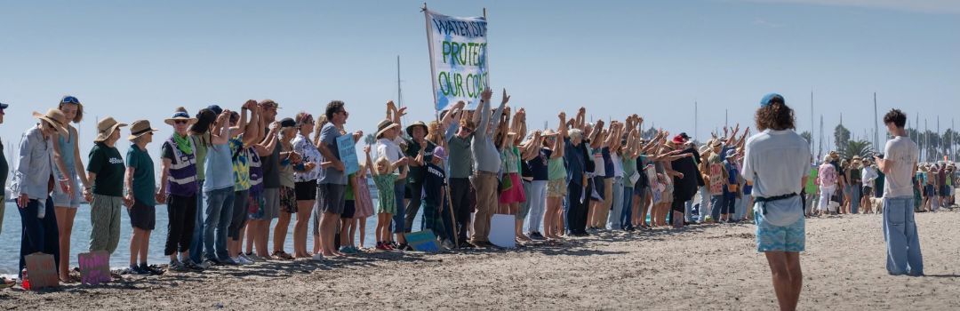 Celebrating Successful Activism in Santa Barbara